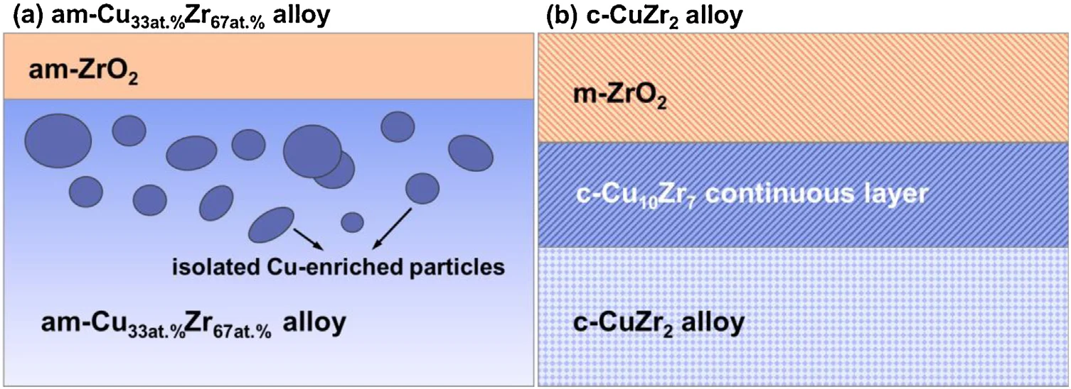 Structure of thermally oxidized Cu-Zr alloys prepared by Matmeas MRVS-3002