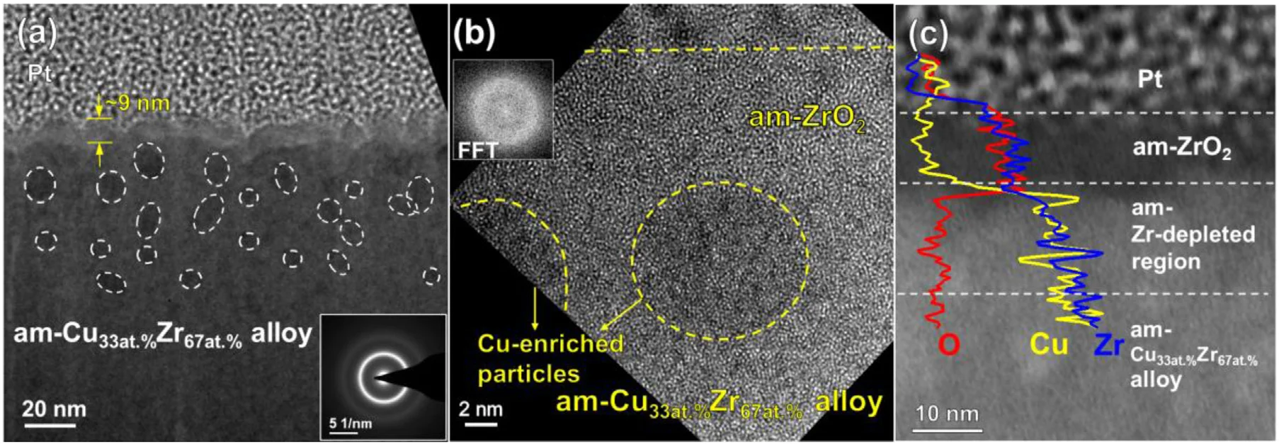 Cross-sectional TEM and HR-TEM images of thermally oxidized alloys under controlled atmosphere via Matmeas equipment