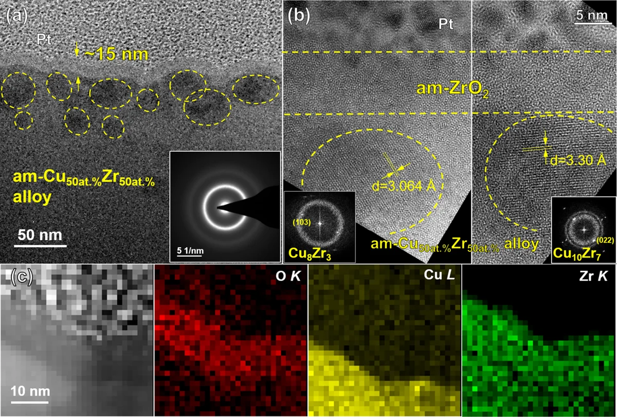 Oxide growth mechanism and nanoparticle formation in selectively oxidized Cu-Zr alloys using MatMeas gas backfill sealer